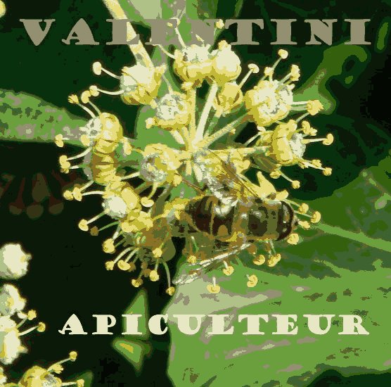 API les ruches valentini 11
