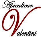 Excellence-Valentini