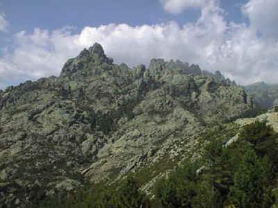 BAVELLA - corse