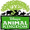 Disney Animal Kingdom